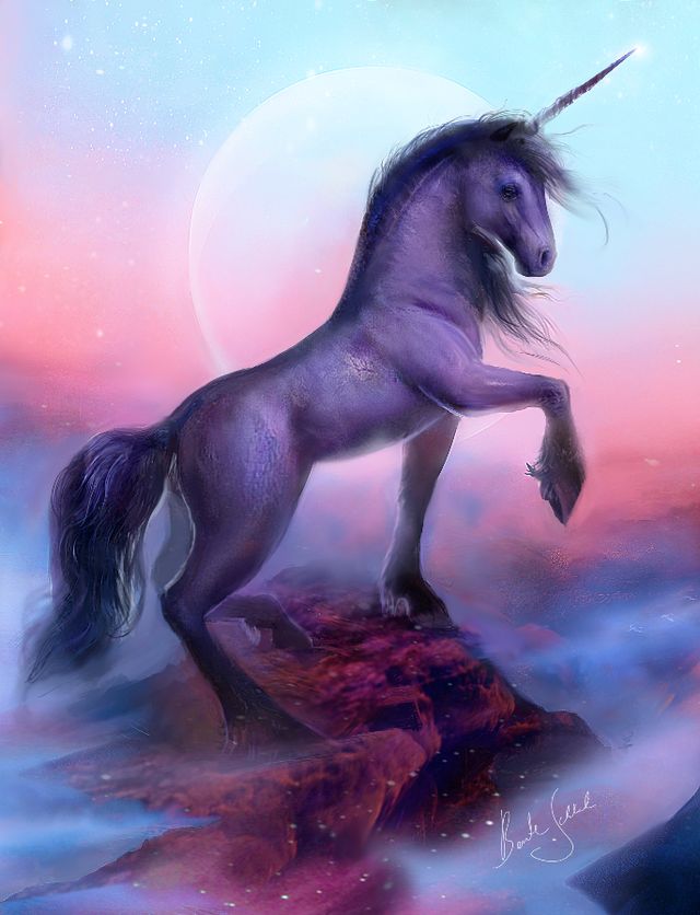 The Black Unicorn