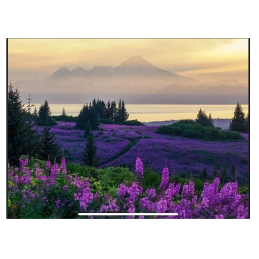 In Memory of Lisa Martin (AK Rose) Diamond Painting Kit